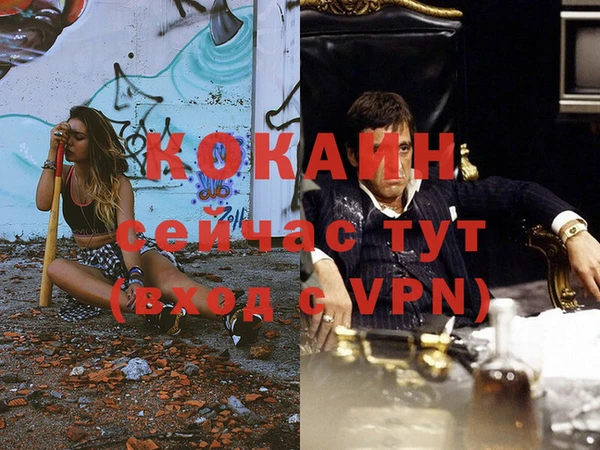 ALPHA-PVP Каменка